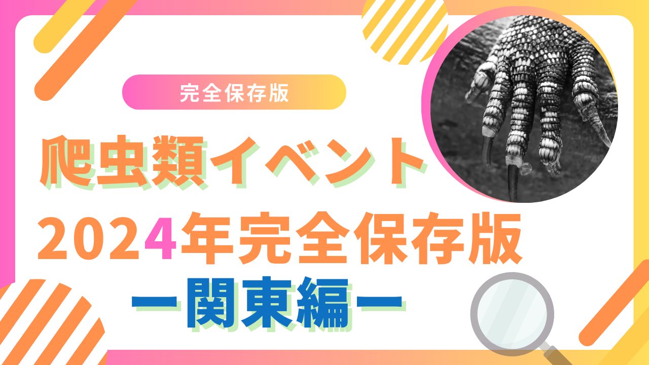 2024年爬虫類イベントアイキャッチ画像
